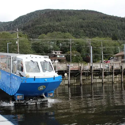 The blue duck rolling into the water