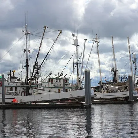 Fishing boats in the harbor