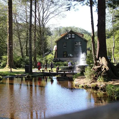 The pond in City Park